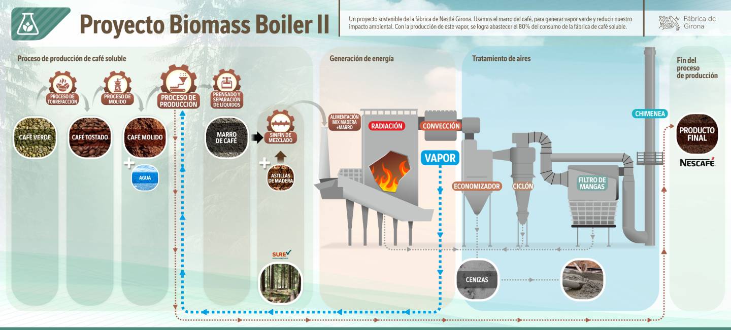 Infografía proceso de producción de café soluble