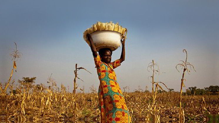 Agricultora de maíz en Ghana