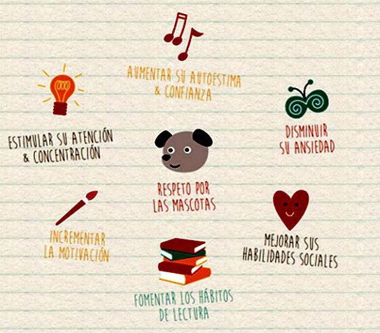 Beneficios del programa