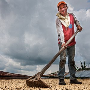 Recolector de café en Colombia