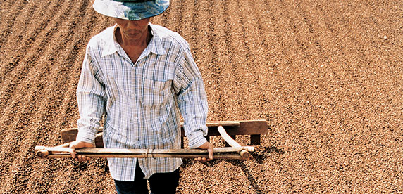 Granjero vietnamita