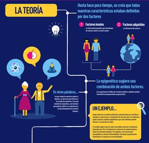 Cómo la alimentación moldea nuestros genes