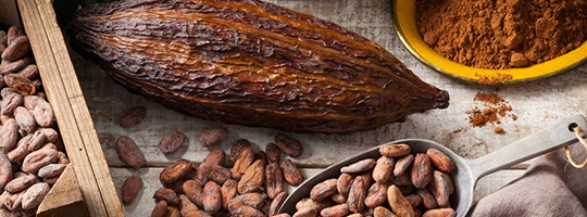 Granos de cacao