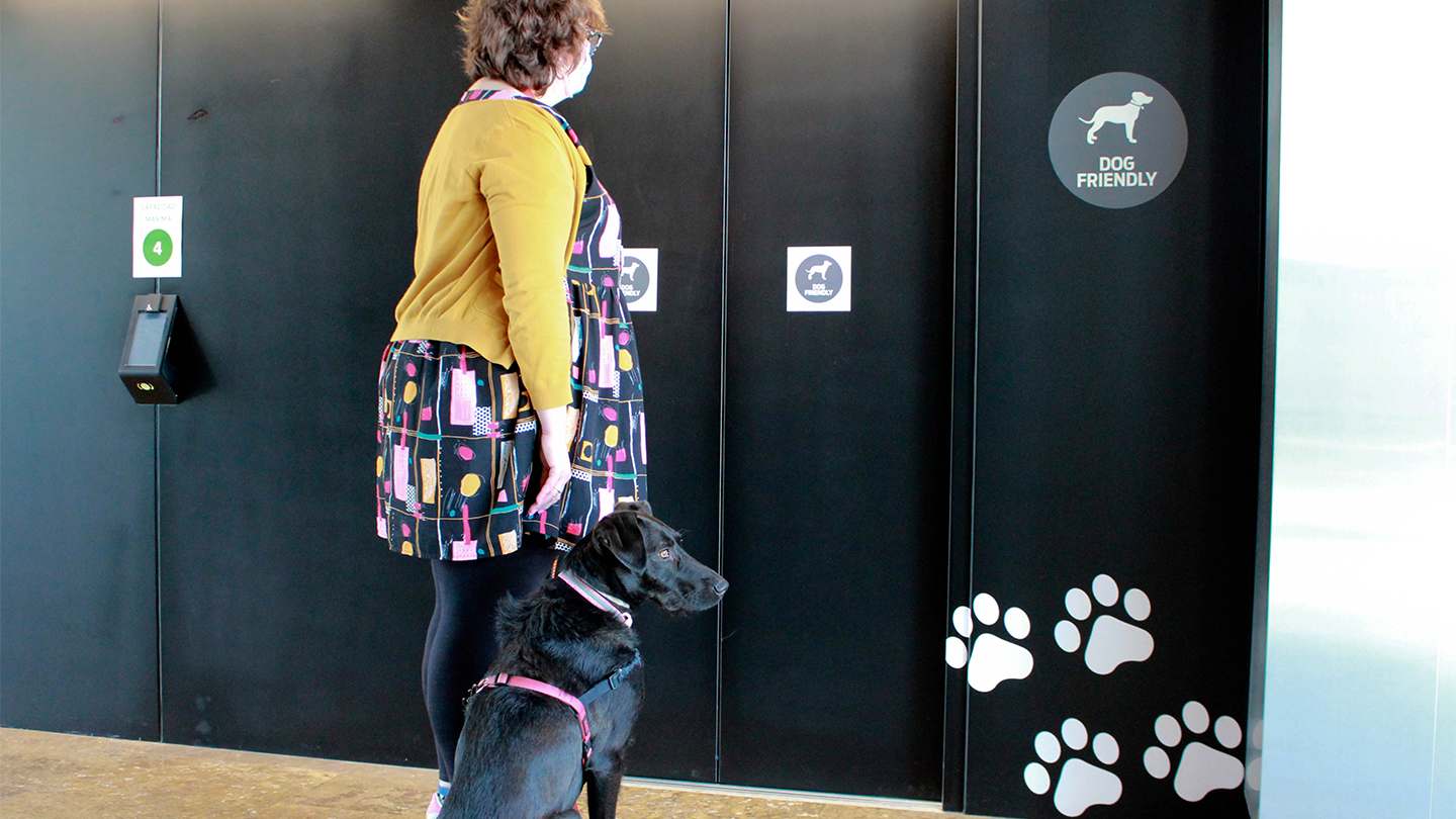 Mujer en las oficinas de Purina esperando a entrar en el ascensor con un perro