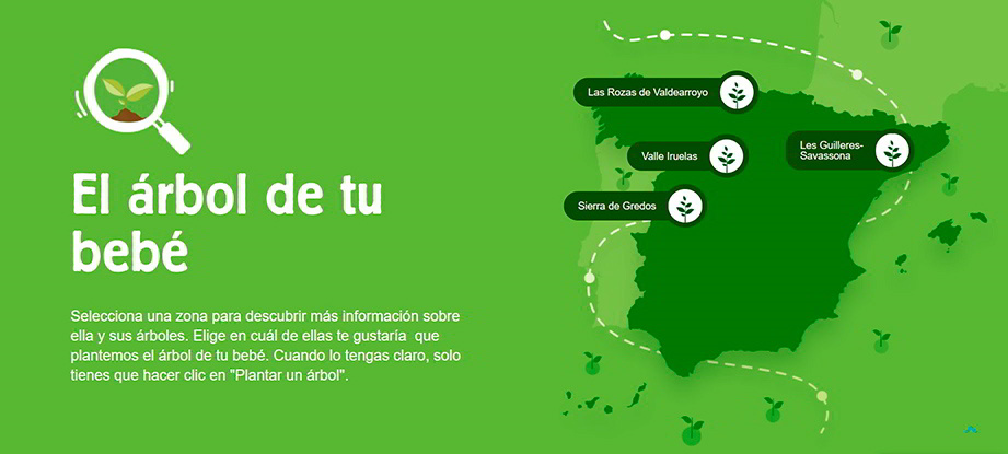 Mapa reforestación Bosques Sostenibles