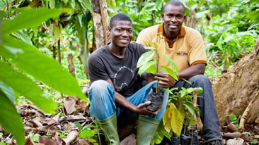 Fotografia de agricultores de cacao