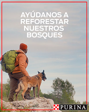 Purina Reforestación