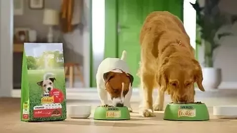 Perros