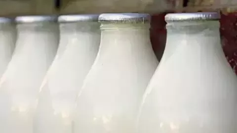 Granjero con vacas
