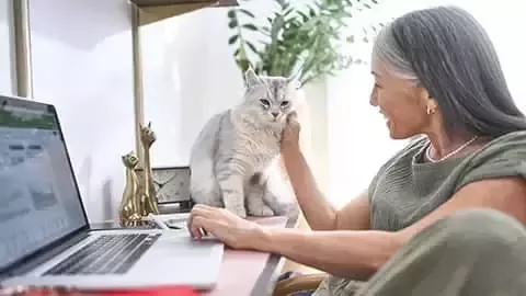 Alimentando perro con PURINA